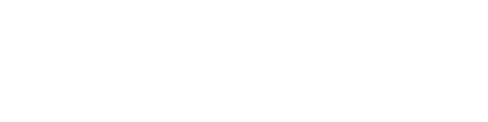 SUCCESS 125